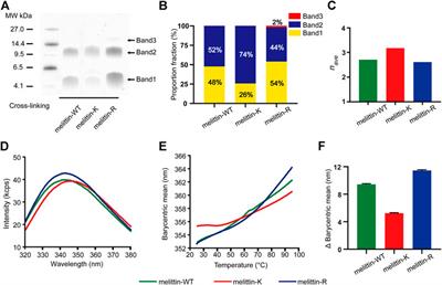 Opposite Regulatory Effects of Immobilized Cations on the Folding Vs. Assembly of Melittin